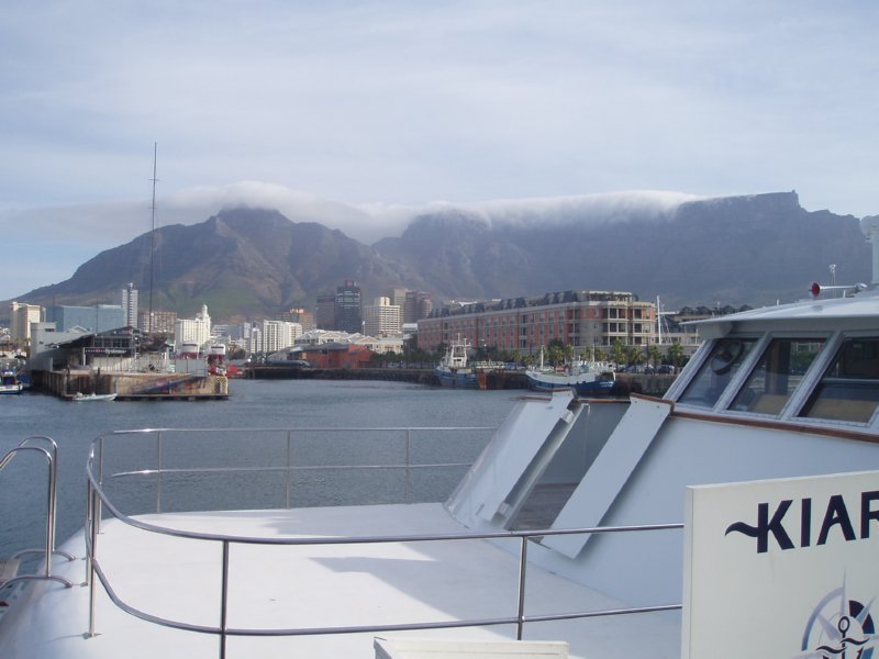 KeHa_in_South_Africa - 057